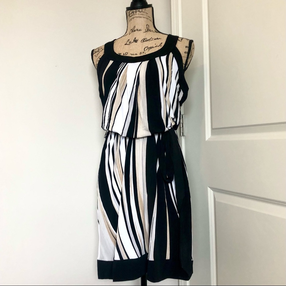 WHBM Silky Striped Tie Waist Dress
